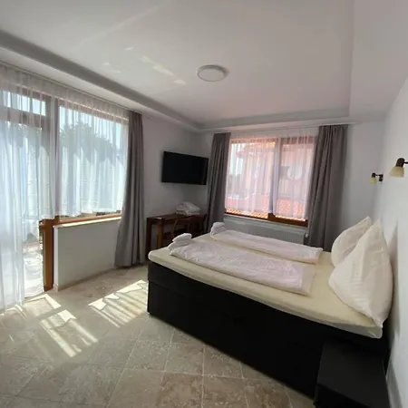 D 미네랄니 바니