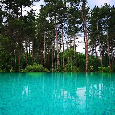 D 호텔 미네랄니 바니