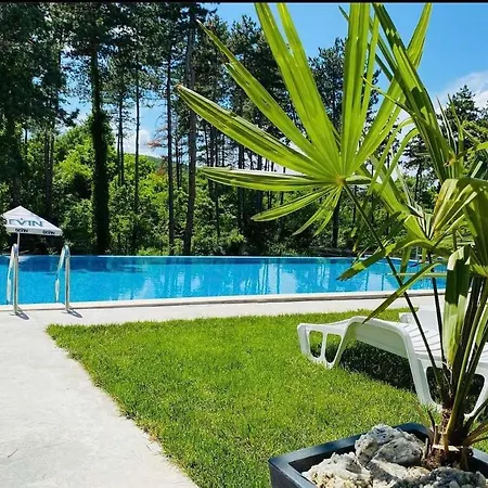 D Hotel 3*
