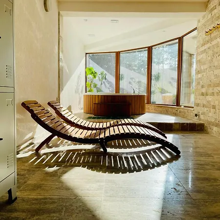 D 미네랄니 바니